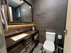 Stars Of Kovan (D19), Apartment #572951701